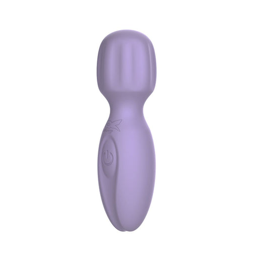 Pixey 2GO - Mini vibromasseur à main - Lilas-Erotiekvoordeel.nl