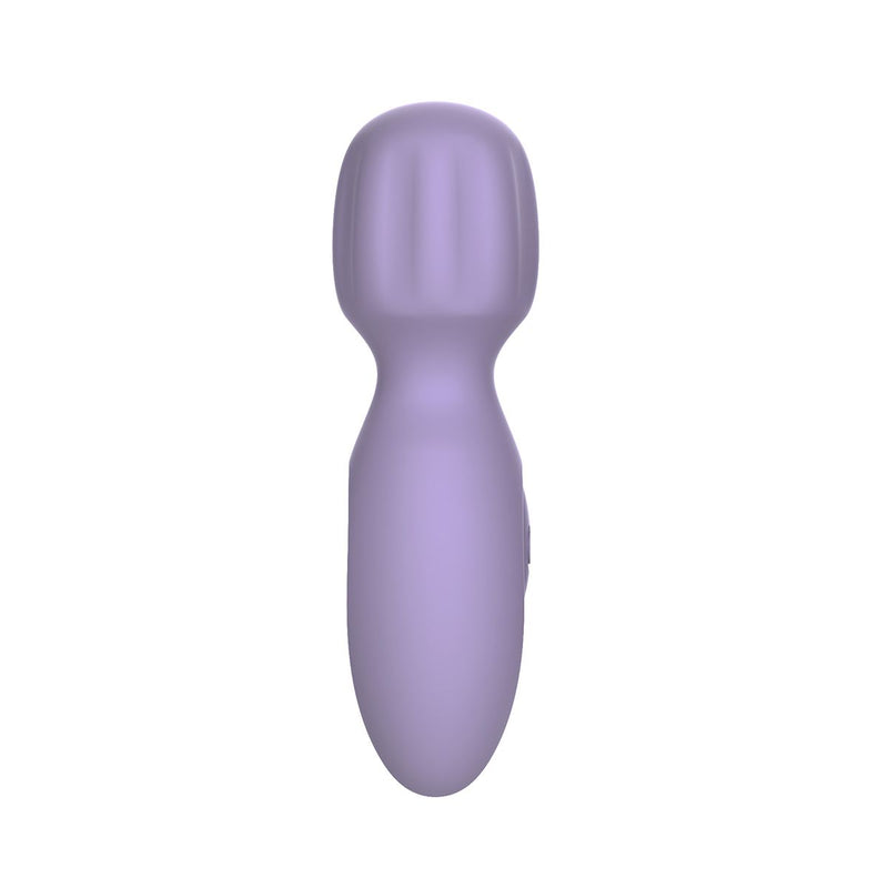 Pixey 2GO - Mini vibromasseur à main - Lilas-Erotiekvoordeel.nl