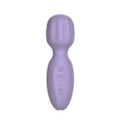Pixey 2GO - Mini vibromasseur à main - Lilas-Erotiekvoordeel.nl