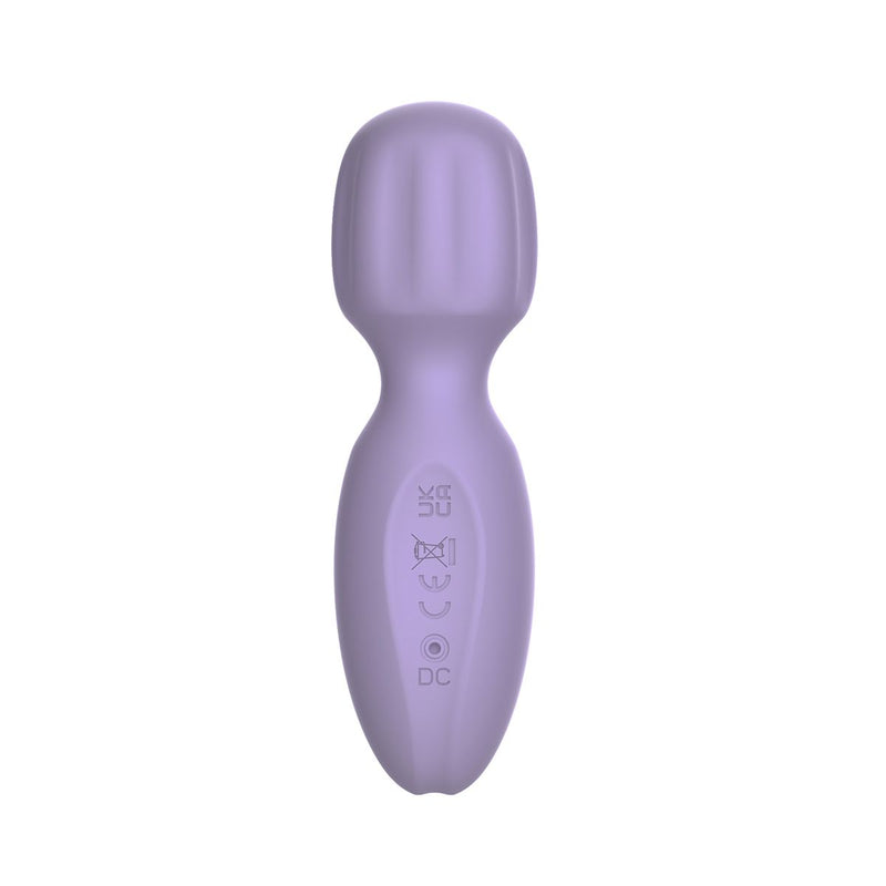 Pixey 2GO - Mini vibromasseur à main - Lilas-Erotiekvoordeel.nl