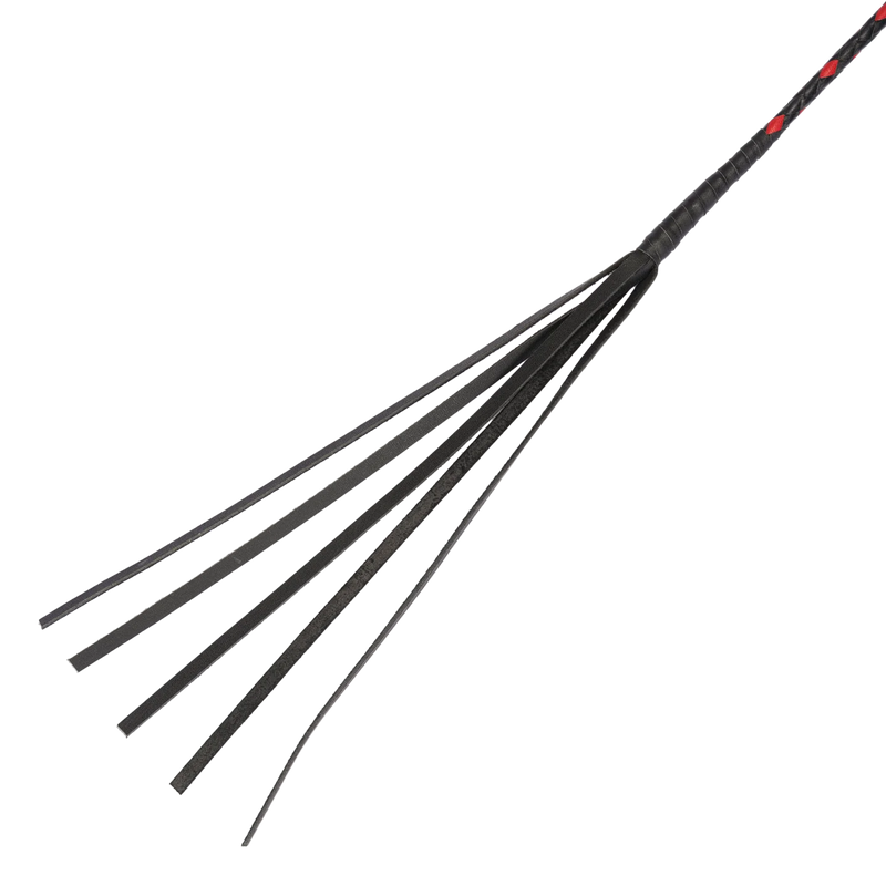 RISE - BDSM Zweep - Feather Single Tail - Zwart/Rood-Erotiekvoordeel.nl