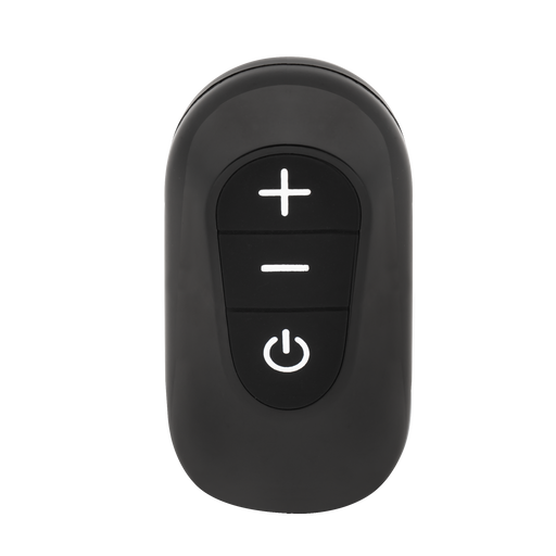 Rimba Electro Play - Mini Power Box with Remote Control - Black - Erotiekvoordeel.nl