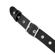 Rimba - Arnés de pecho de cuero con collar - Negro-Erotiekvoordeel.nl