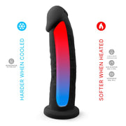 SILEXD - Realistischer Dildo - Modell 2 - 23 cm - Schwarz-Erotiekvoordeel.nl