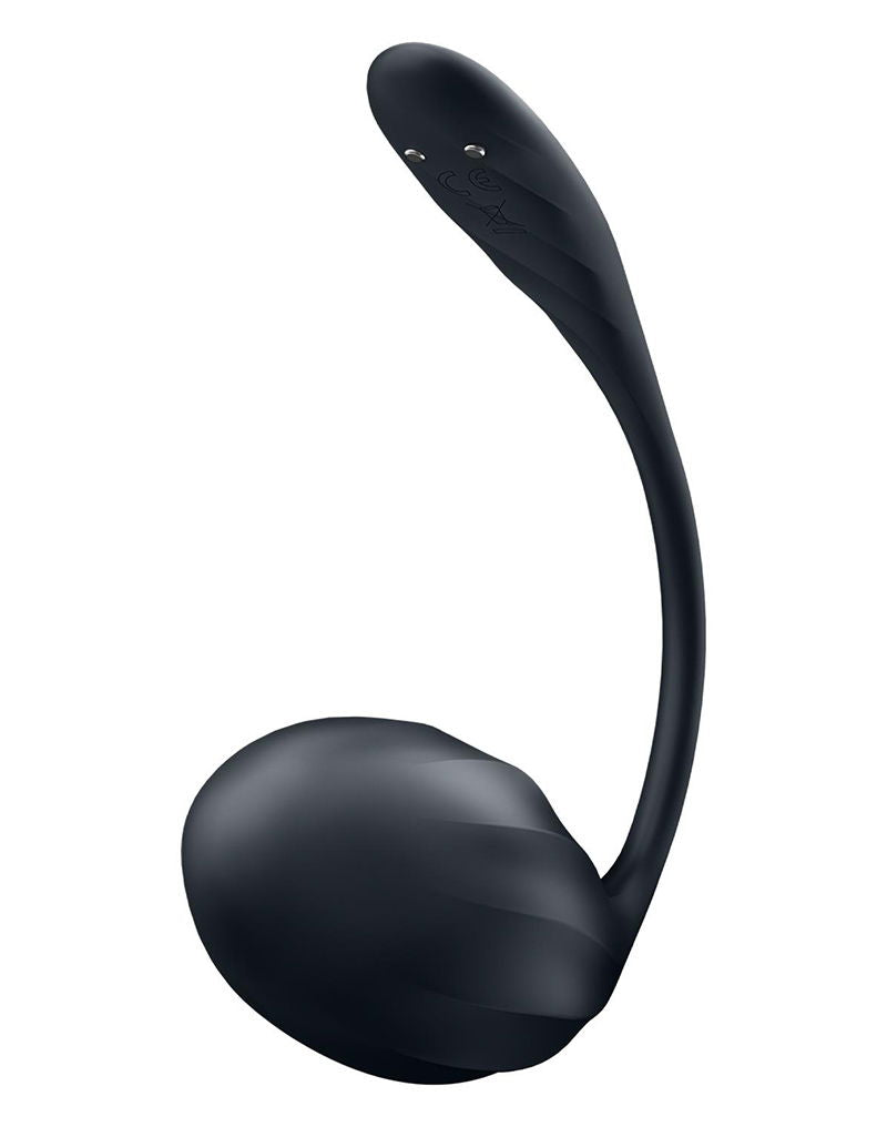 Satisfyer - Ribbed Petal - Vibratore portatile - Vibratore per tanga - Uovo vibrante - Nero-Erotiekvoordeel.nl