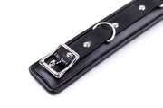 Smart Moves - Padded Collar - Includes Leash - Black-Erotiekvoordeel.nl