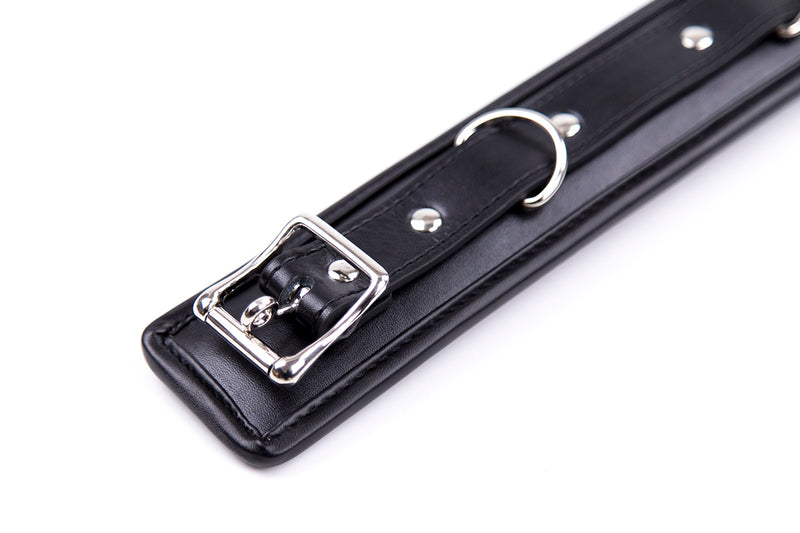 Smart Moves - Padded Collar - Includes Leash - Black-Erotiekvoordeel.nl