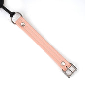 Liebe Seele - Pink Organosilicone Ball Gag - vegan friendly - Roze-Erotiekvoordeel.nl