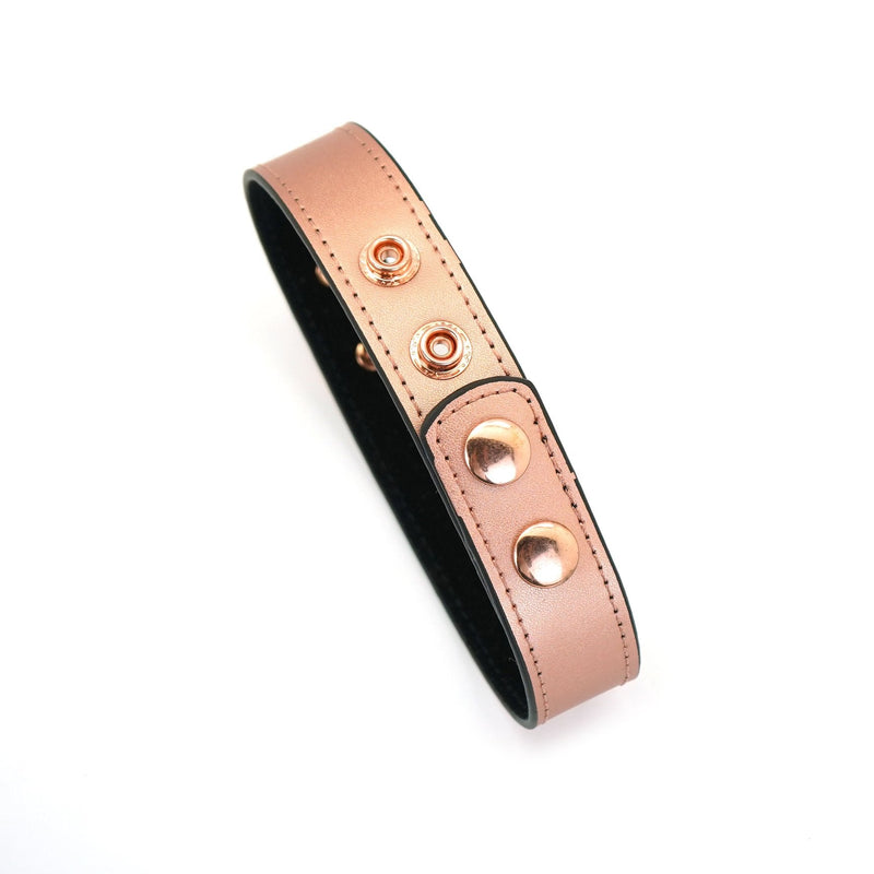 Liebe Seele - Rose Gold Memory - Exclusieve Smalle collar Met Tepelklemmen - Rosé Goud-Erotiekvoordeel.nl