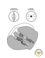 LoveToy Streetgirls 12 Masturbator - Realistische Vagina & Anus-Erotiekvoordeel.nl