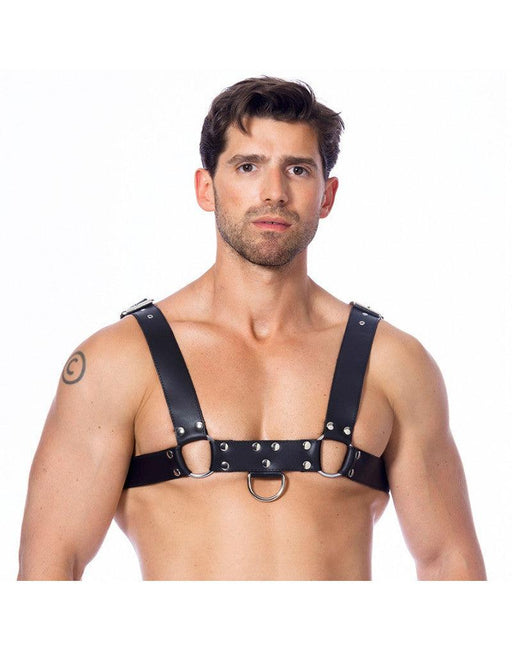 Rimba - Harness - Men's Leather Chest Harness - Black-Erotiekvoordeel.nl
